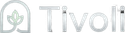 Tivolicasino